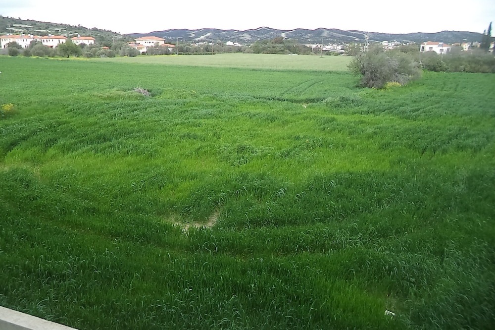 Photo of Others in Alethriko