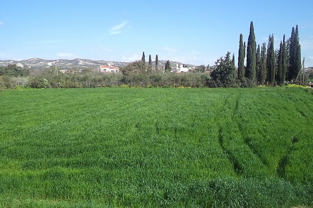 Photo of Outdoor in Alethriko