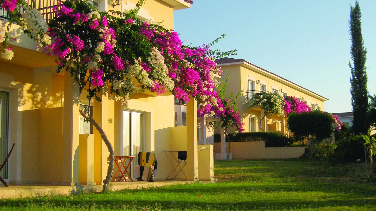 Photo of Outdoor in Polis