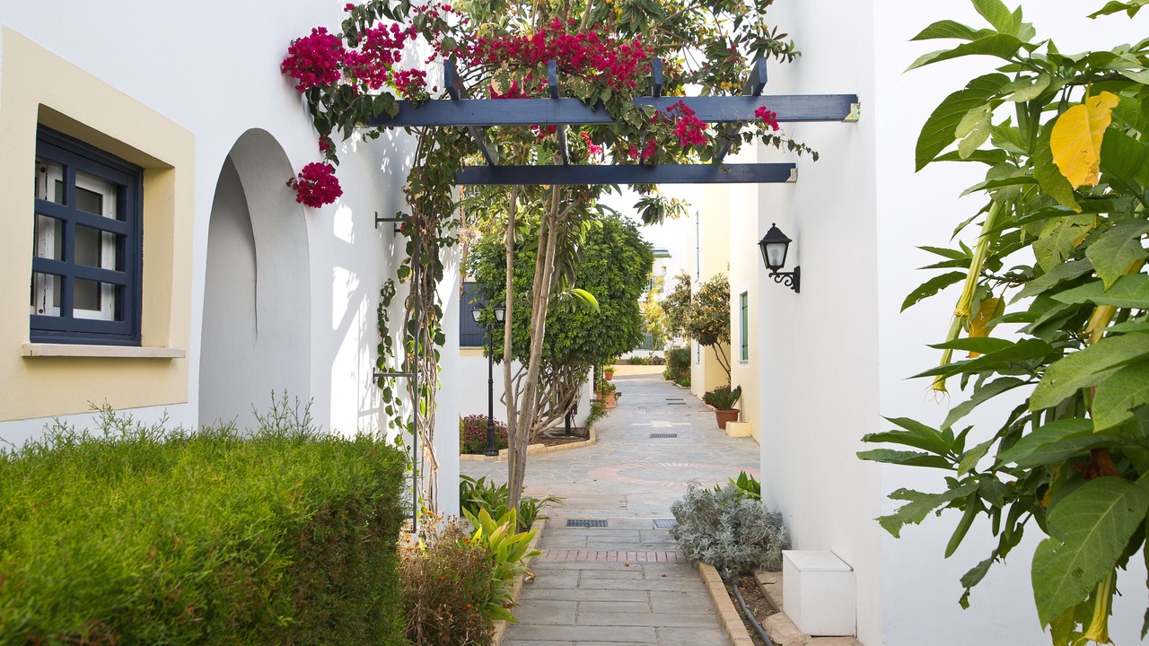Photo of Outdoor in Paphos