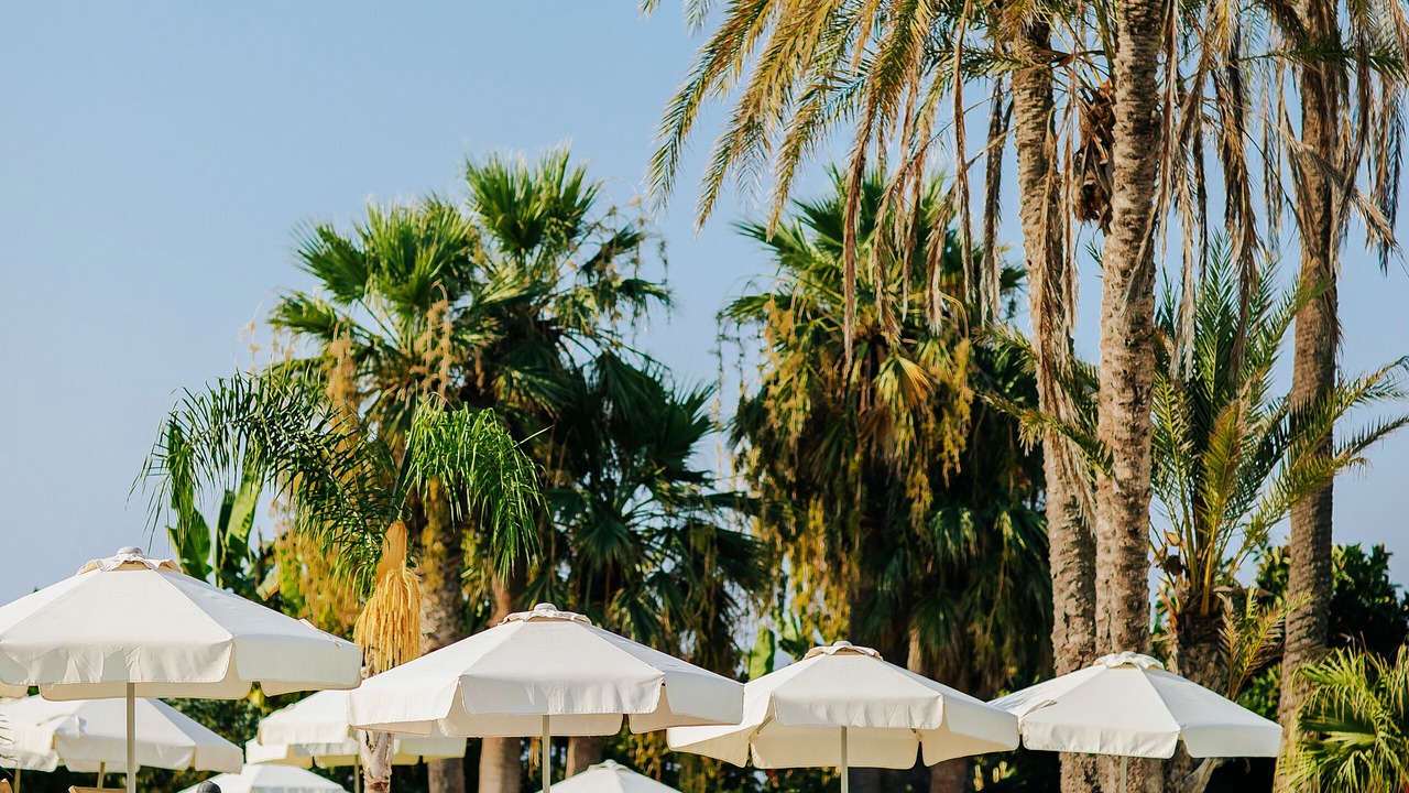 Photo of Outdoor in Paphos