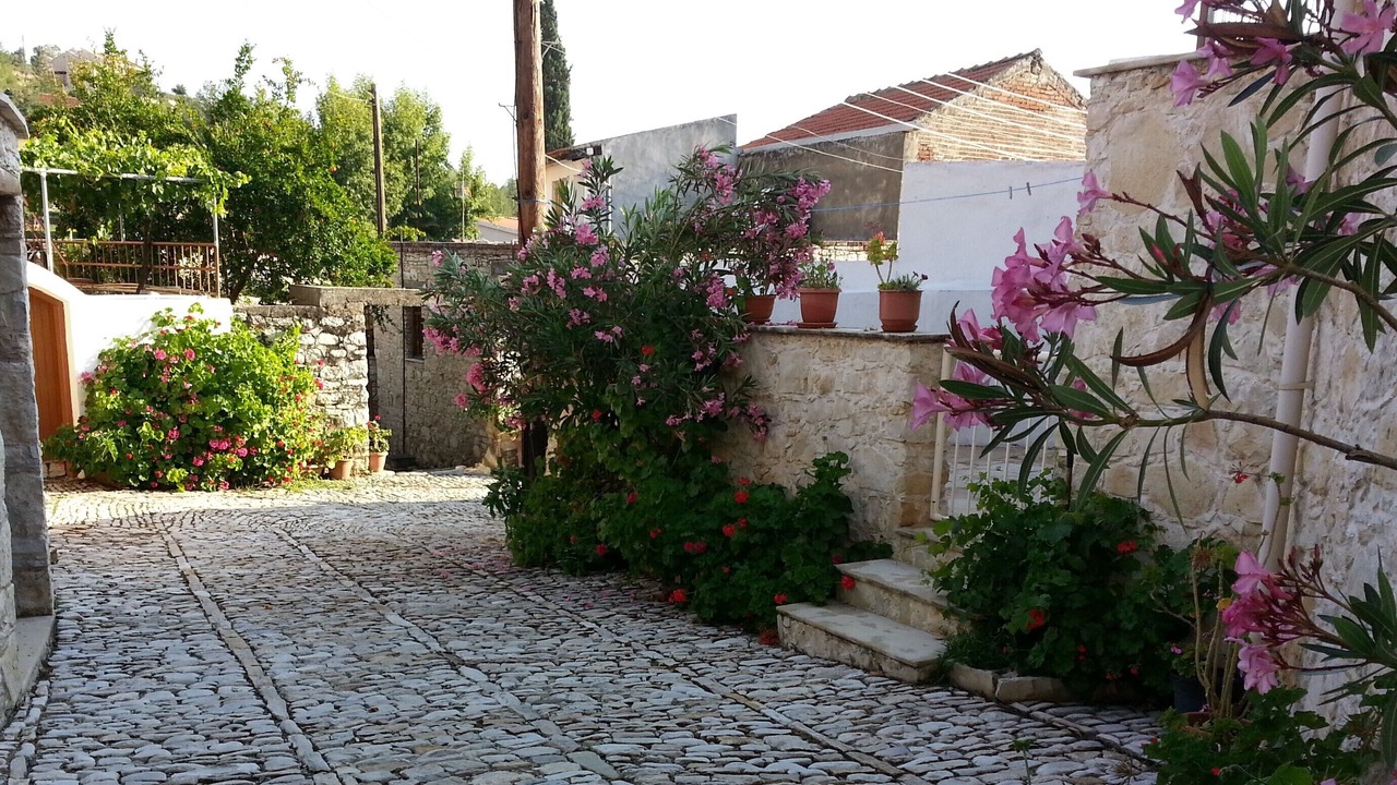 Photo of Outdoor in Laneia