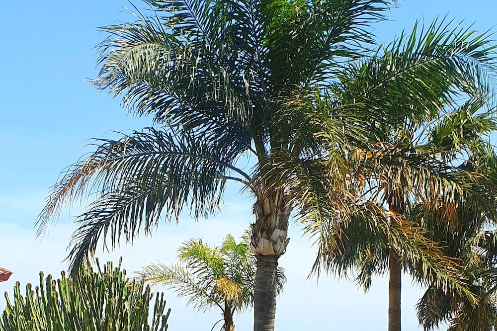 Photo of Outdoor in Monagroulli