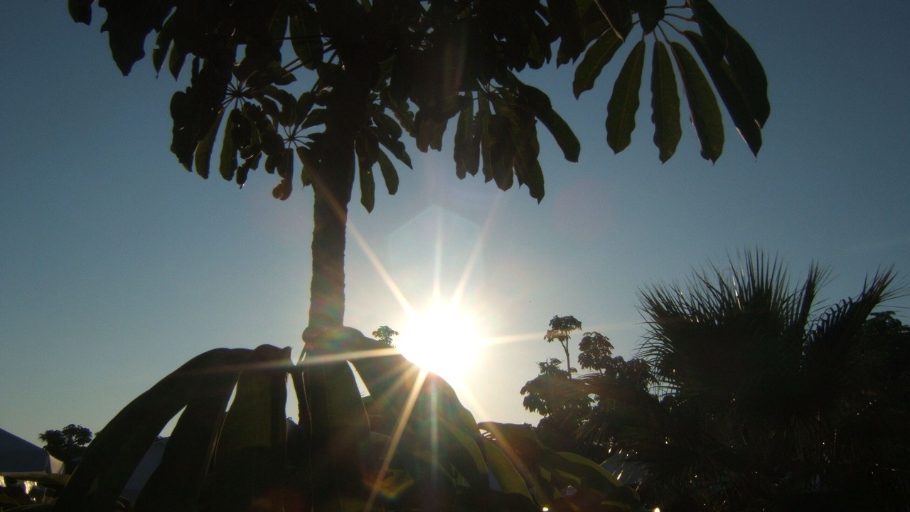 Photo of Outdoor in Kouklia