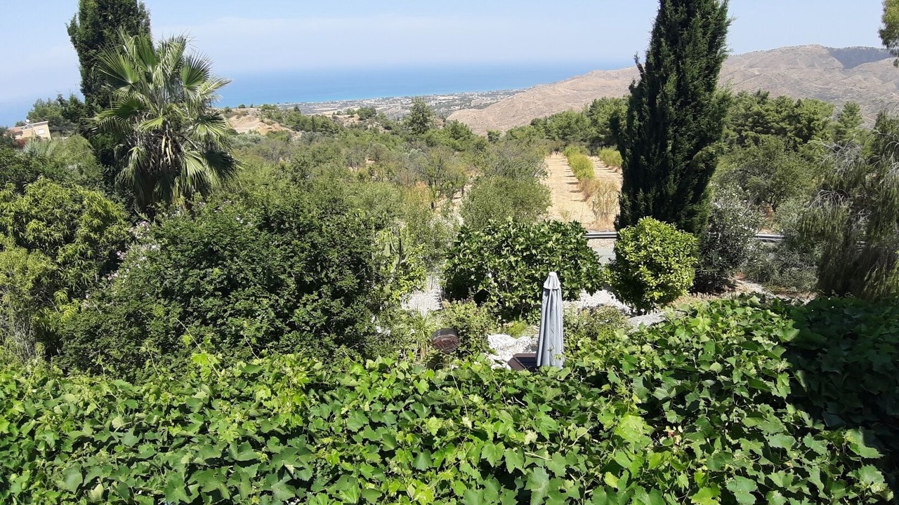 Photo of Outdoor in Latchi