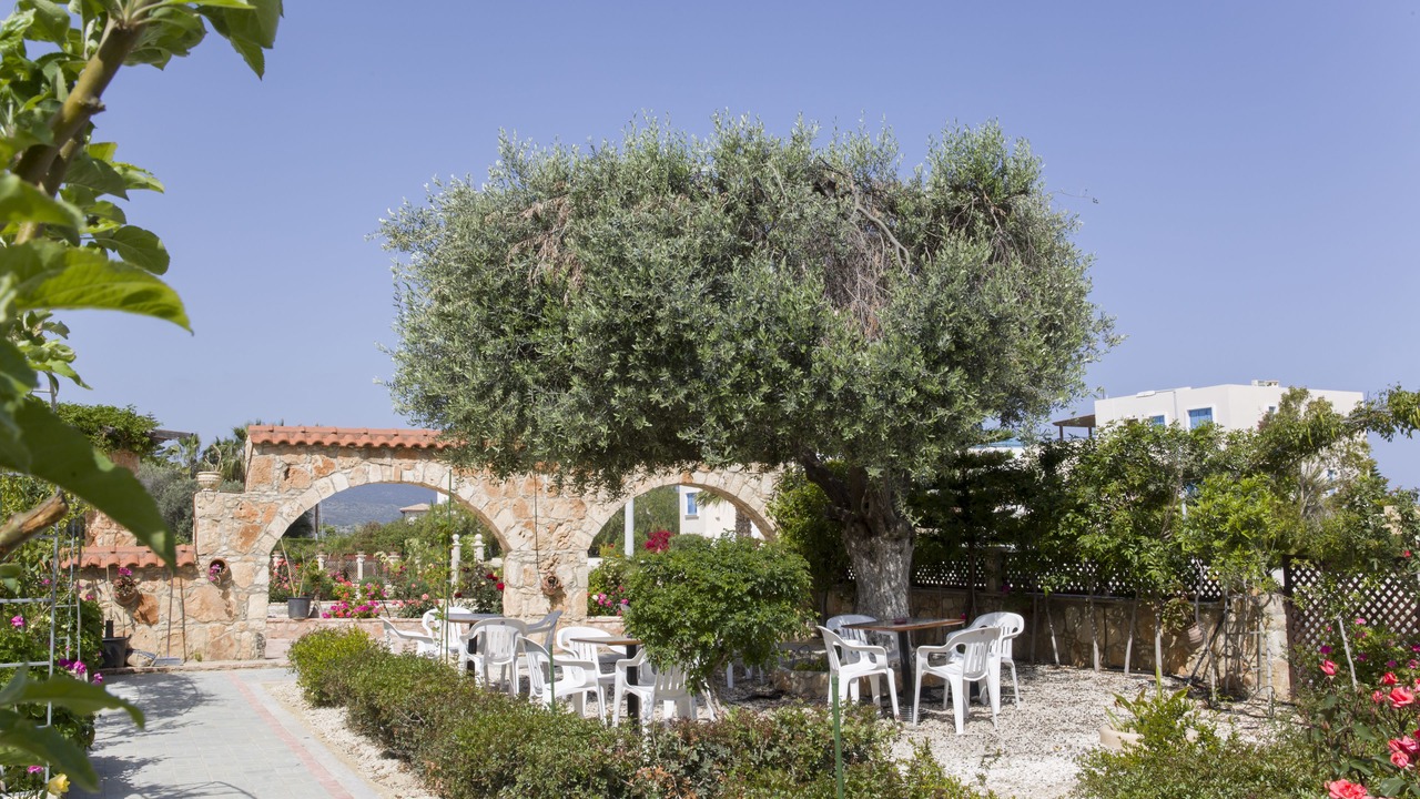 Photo of Patio Balcony in Latchi
