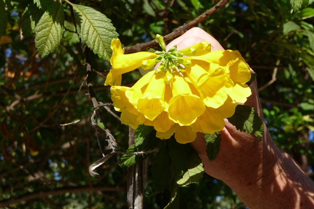 Photo of Outdoor in Neo Chorio
