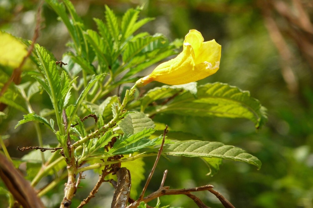 Photo of Outdoor in Neo Chorio