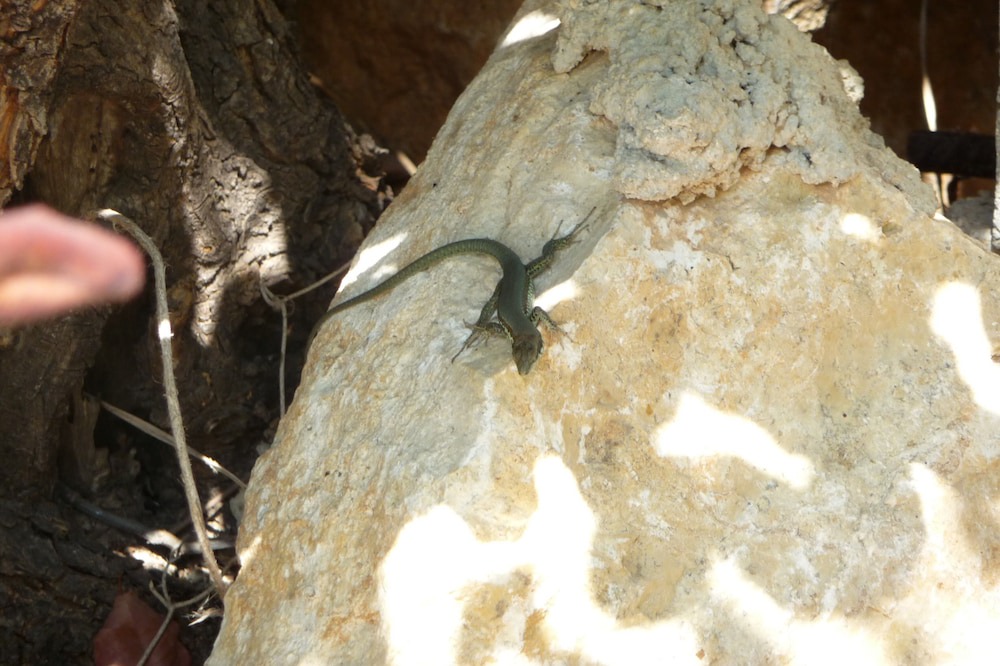 Photo of Outdoor in Neo Chorio