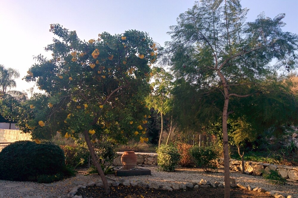 Photo of Outdoor in Neo Chorio