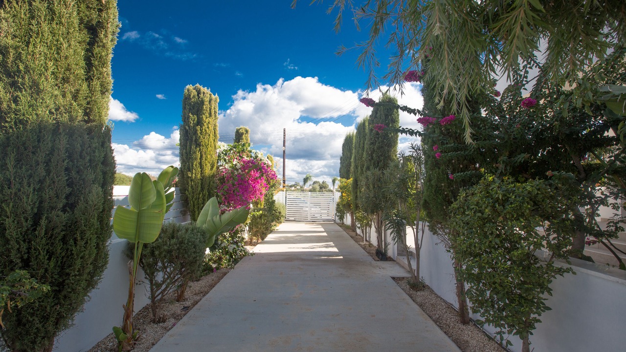 Photo of Outdoor in Cape Greko