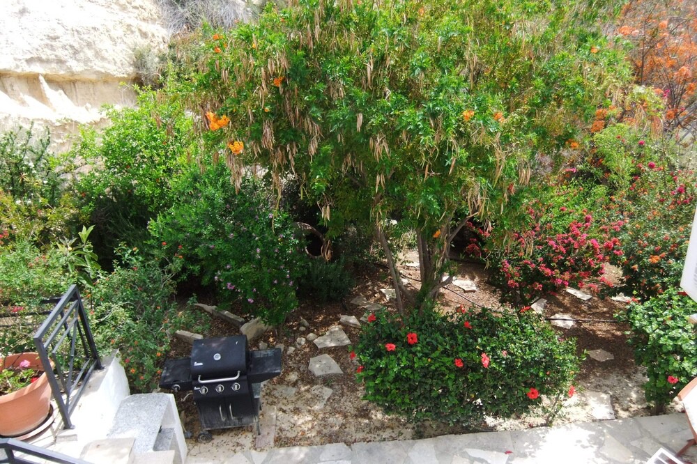 Photo of Outdoor in Pissouri