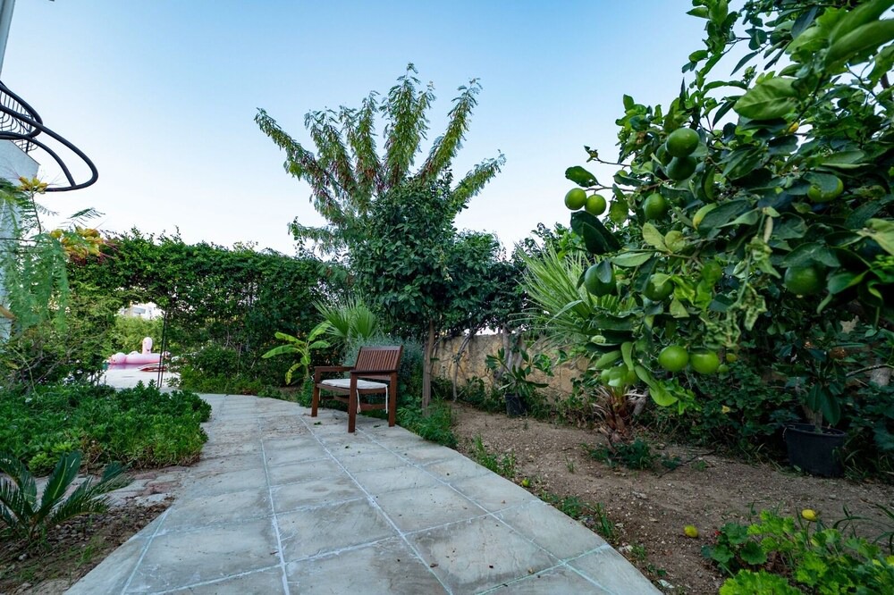 Photo of Outdoor in Catalkoy