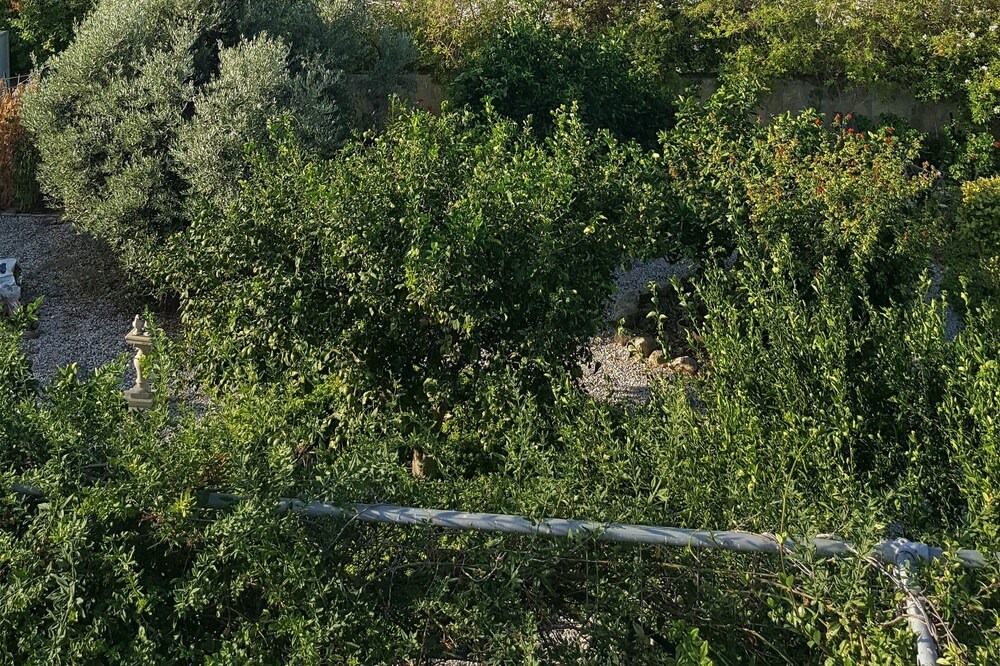 Photo of Outdoor in Catalkoy