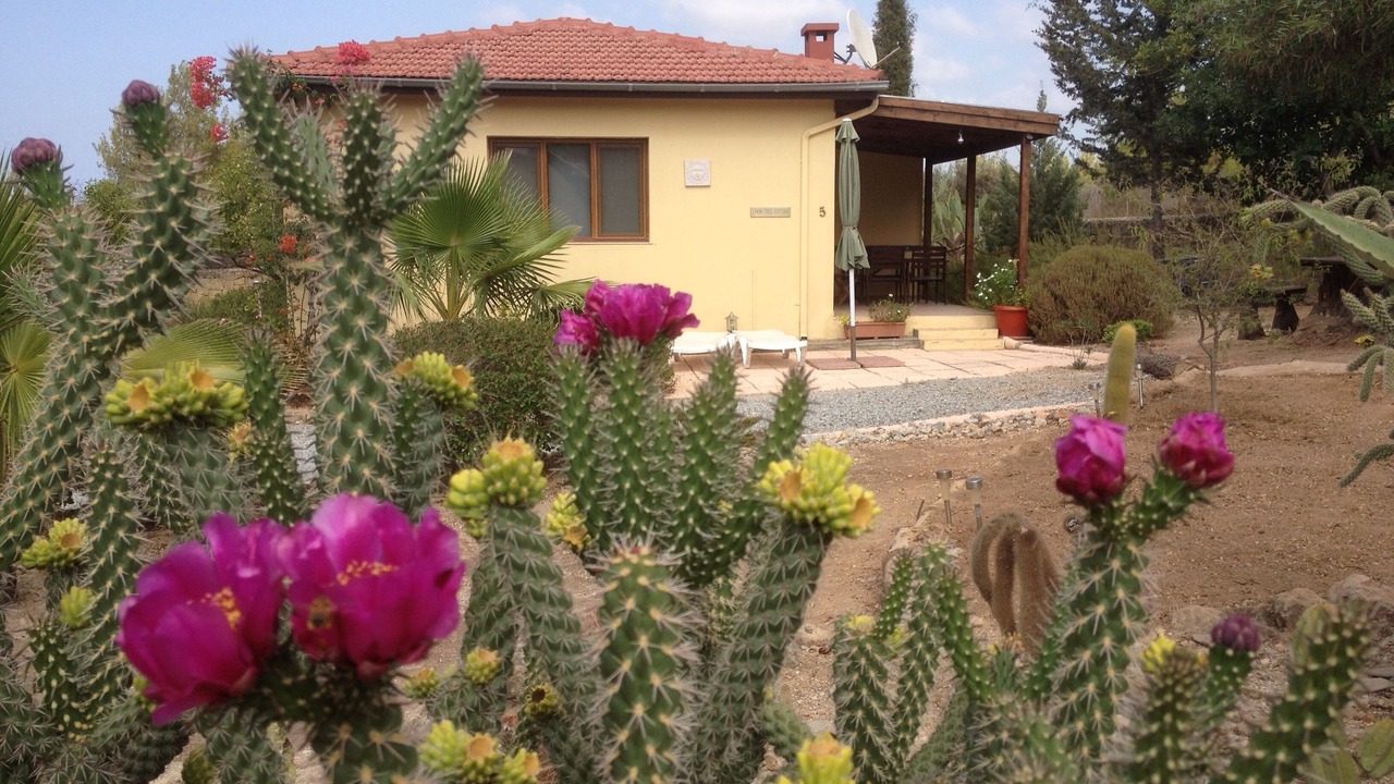Photo of Outdoor in Catalkoy