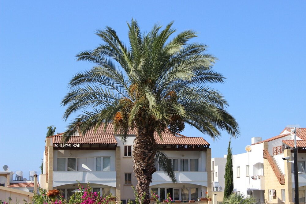 Photo of Outdoor in Zeytinlik