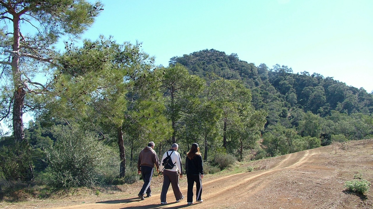 Photo of Others in Lythrodontas