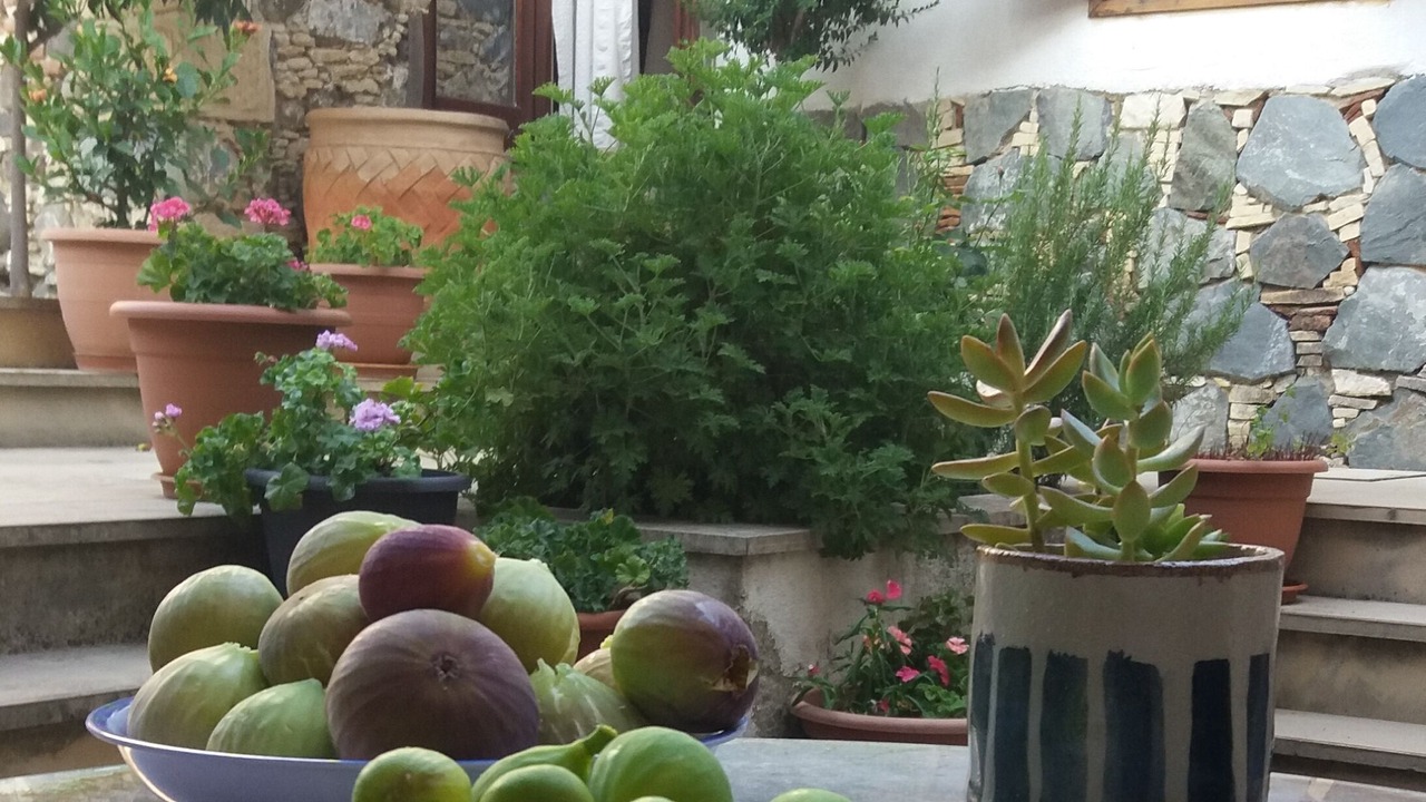 Photo of Outdoor in Lythrodontas