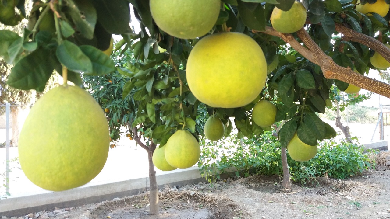 Photo of Outdoor in Lythrodontas