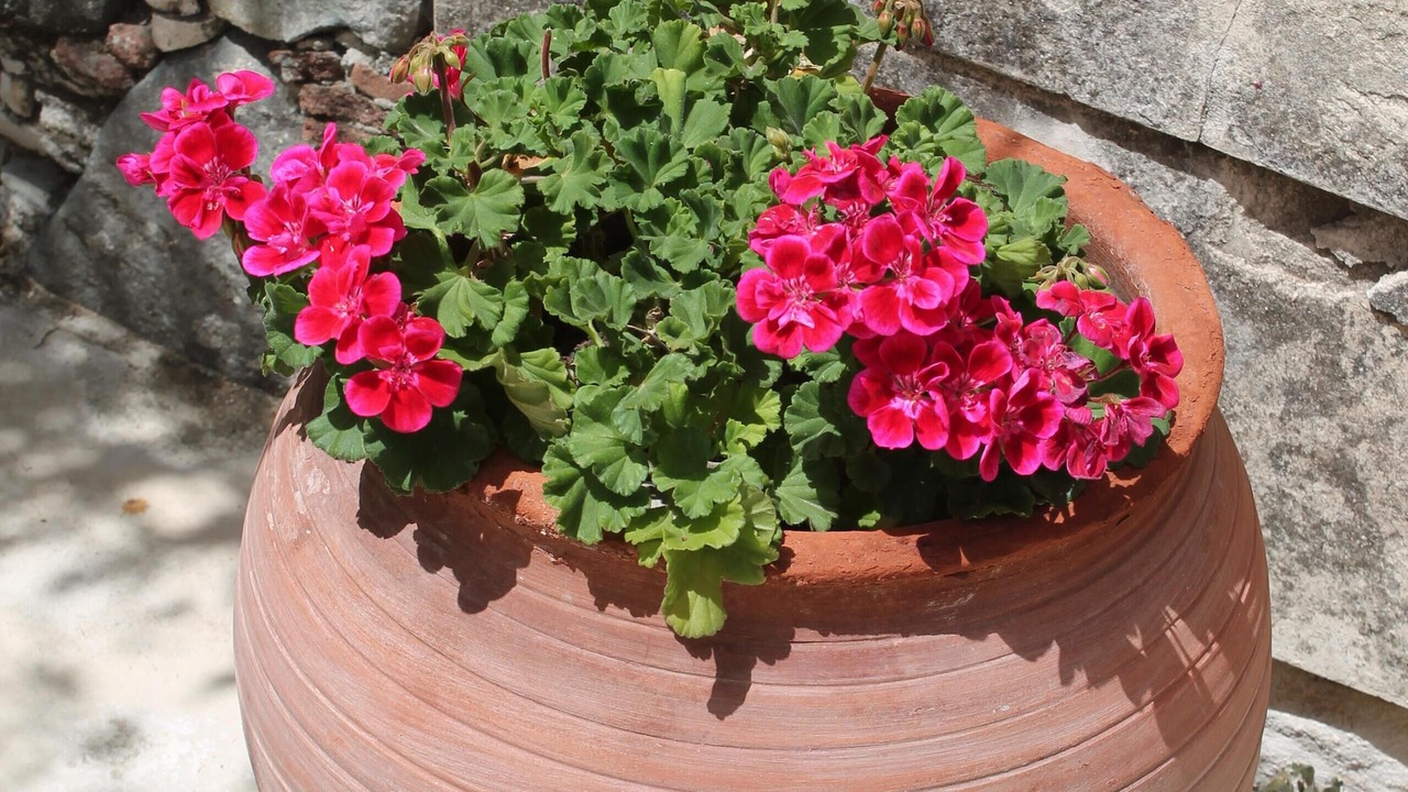 Photo of Outdoor in Lythrodontas