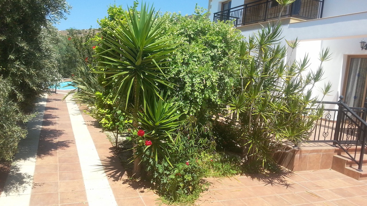 Photo of Outdoor in Nea Dimmata