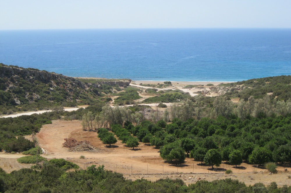 Photo of Others in Pissouri