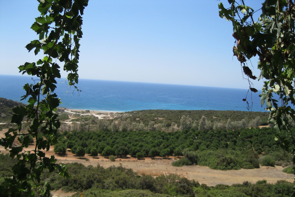 Photo of Others in Pissouri