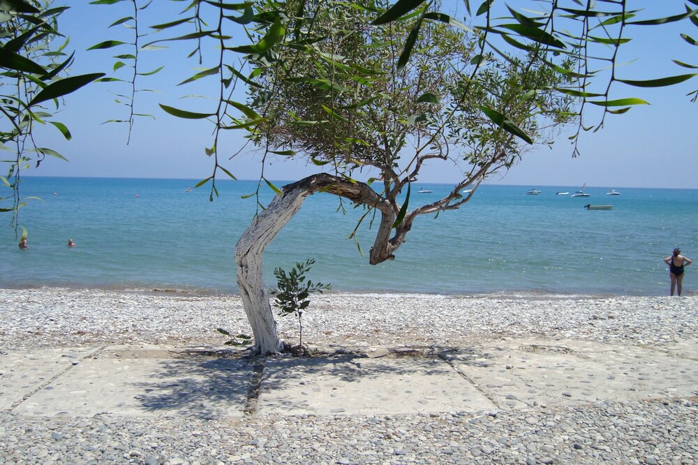 Photo of Others in Pissouri
