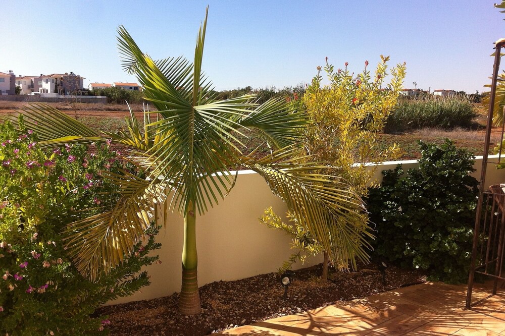Photo of Others in Paralimni