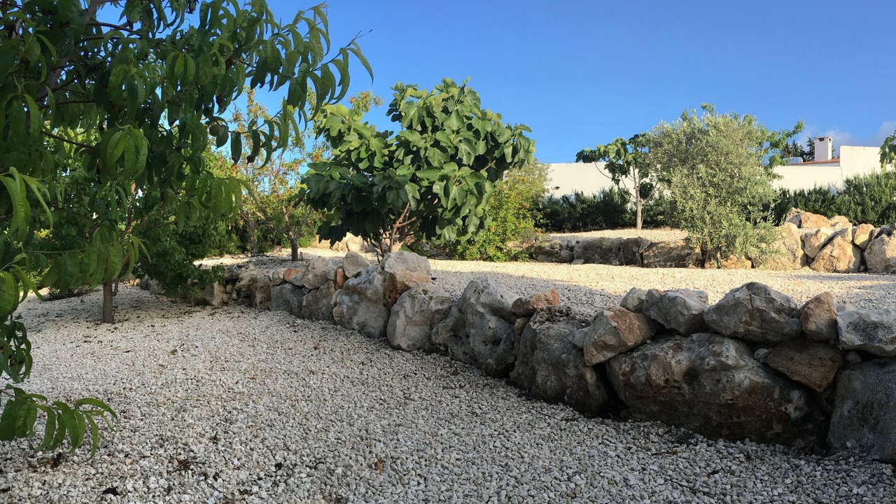 Photo of Outdoor in Droushia