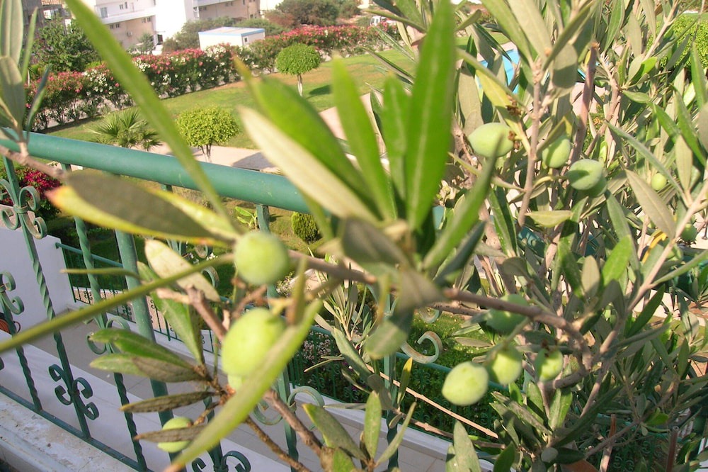 Photo of Patio Balcony in Pyrgos