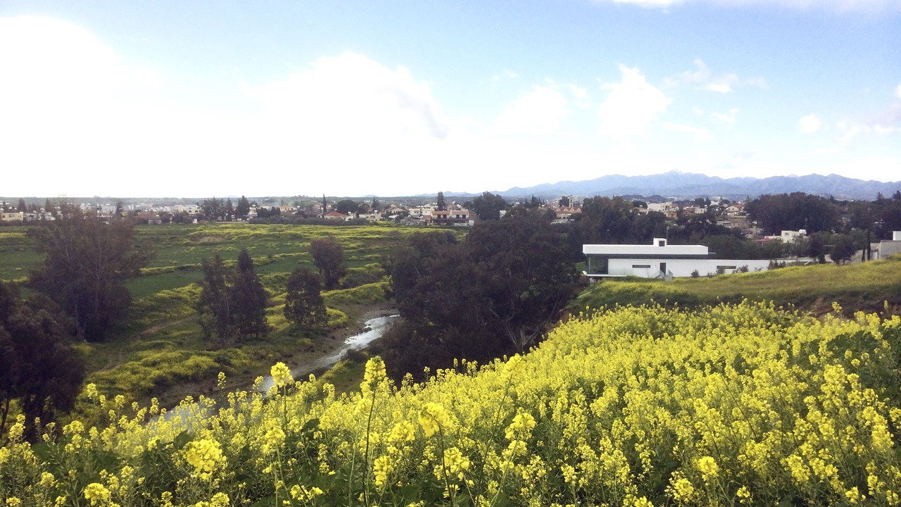 Photo of Outdoor in Deftera
