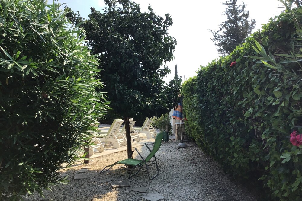 Photo of Outdoor in Pissouri