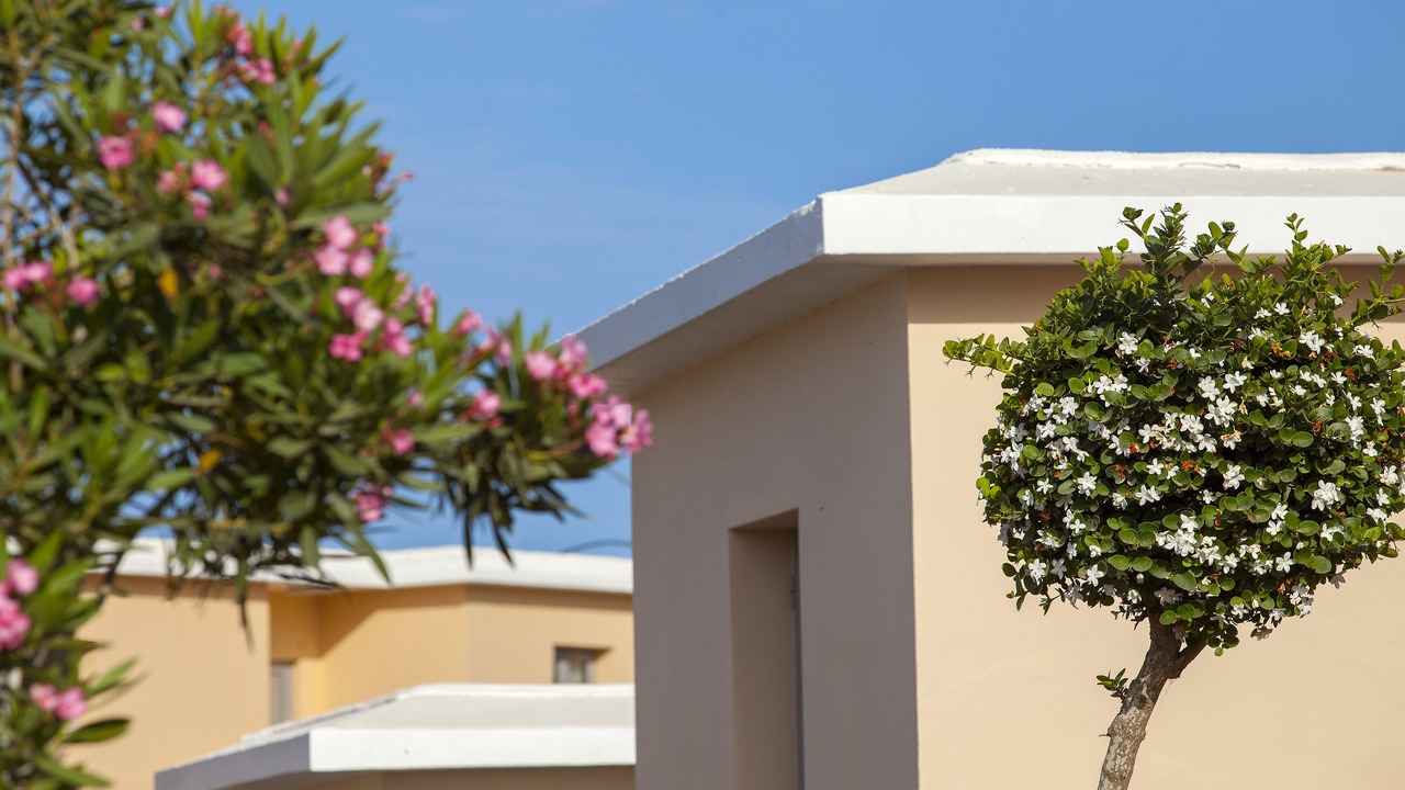 Photo of Others in Protaras