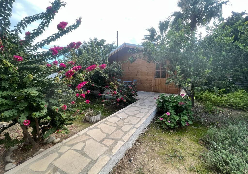Photo of Outdoor in Agios Theodoros