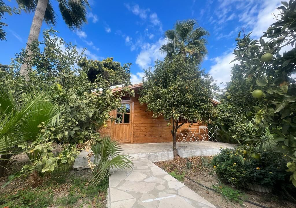 Photo of Outdoor in Agios Theodoros