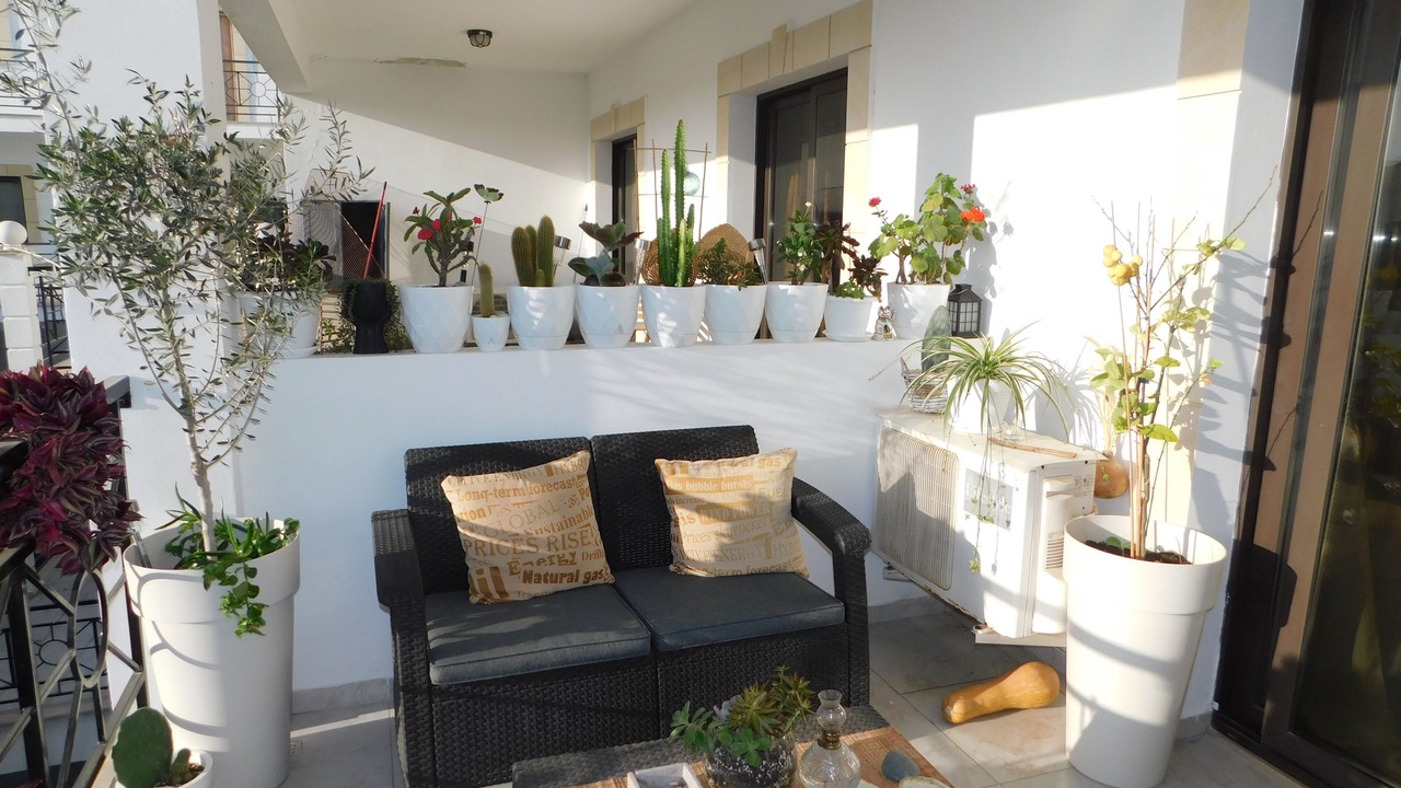 Photo of Outdoor in Tersefanou