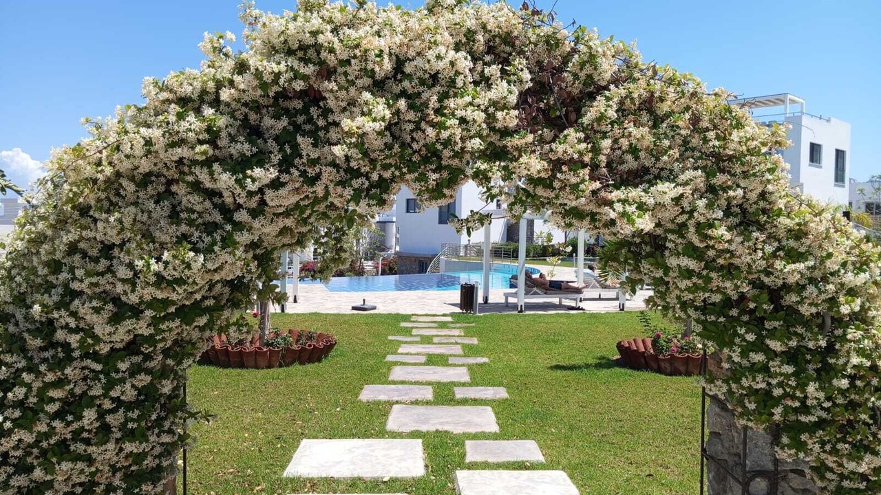 Photo of Outdoor in Vasilia