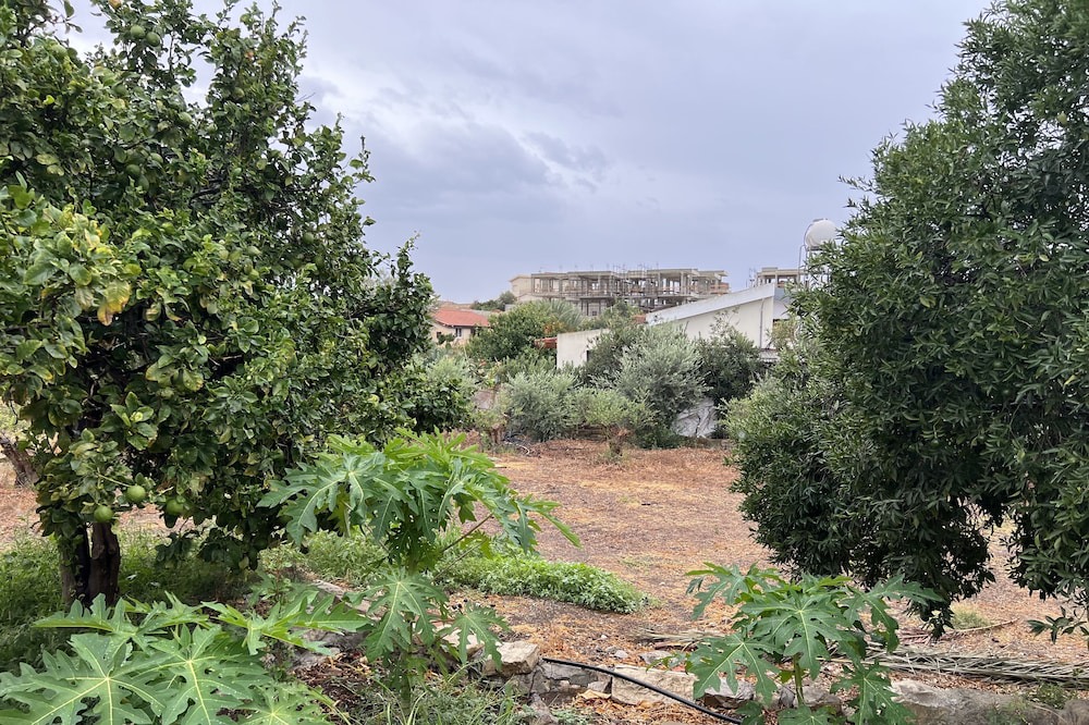 Photo of Outdoor in Agios Tychon