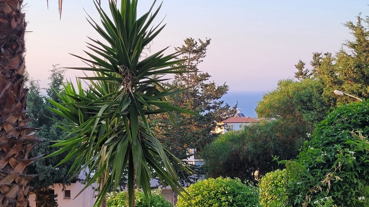 Photo of Outdoor in Bahceli