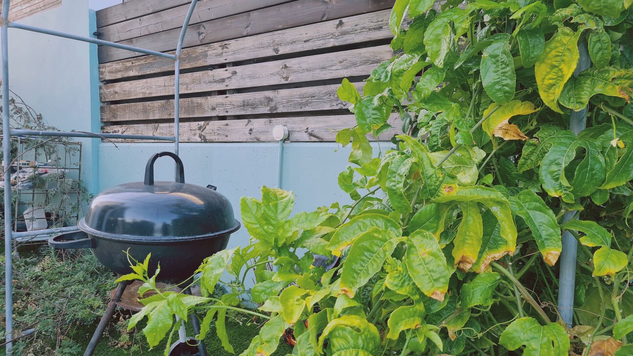 Photo of Outdoor in Pervolia
