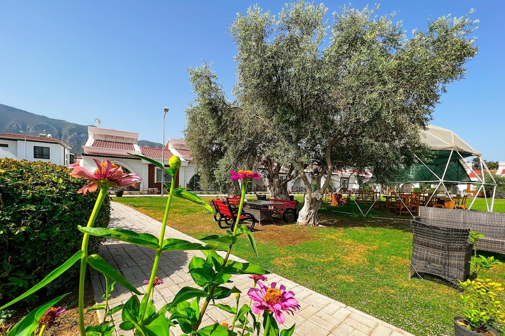 Photo of Outdoor in Dogankoy