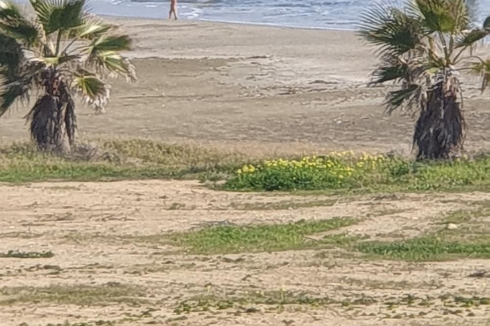 Photo of Others in Pyla