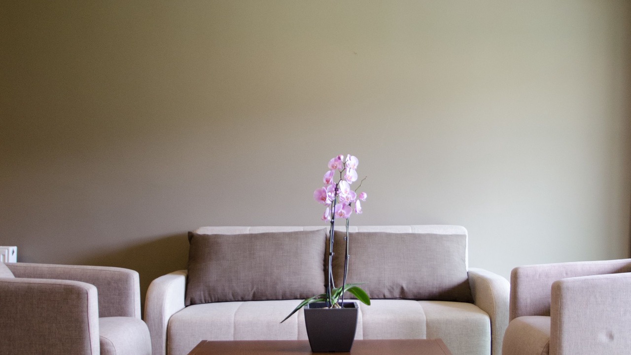 Photo of Bedroom in Agros