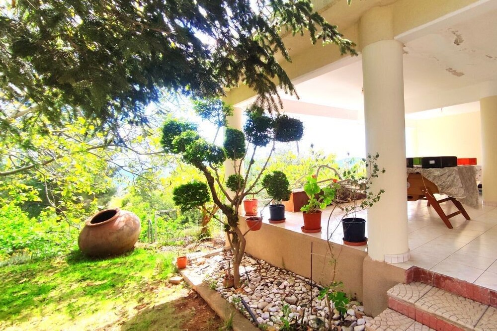Photo of Outdoor in Vasa Koilaniou