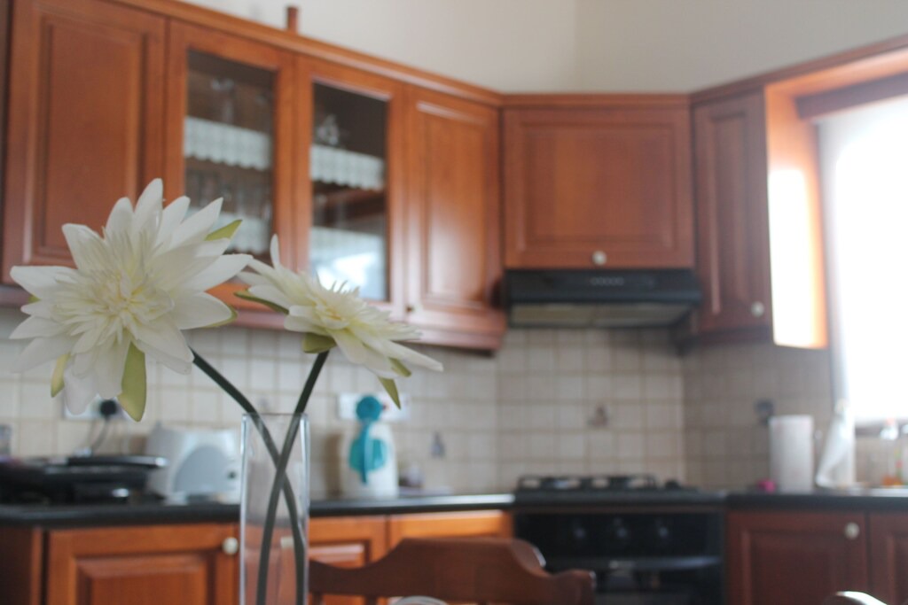 Photo of Kitchen in Prodromi