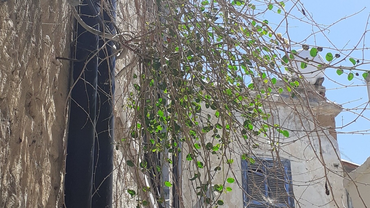 Photo of Outdoor in Ozankoy