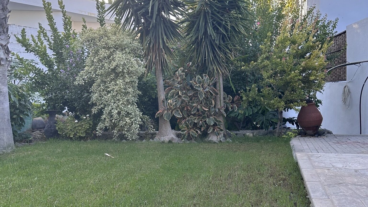Photo of Outdoor in Dogankoy