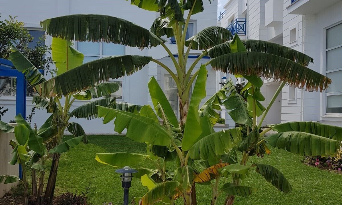 Photo of Outdoor in Karavas