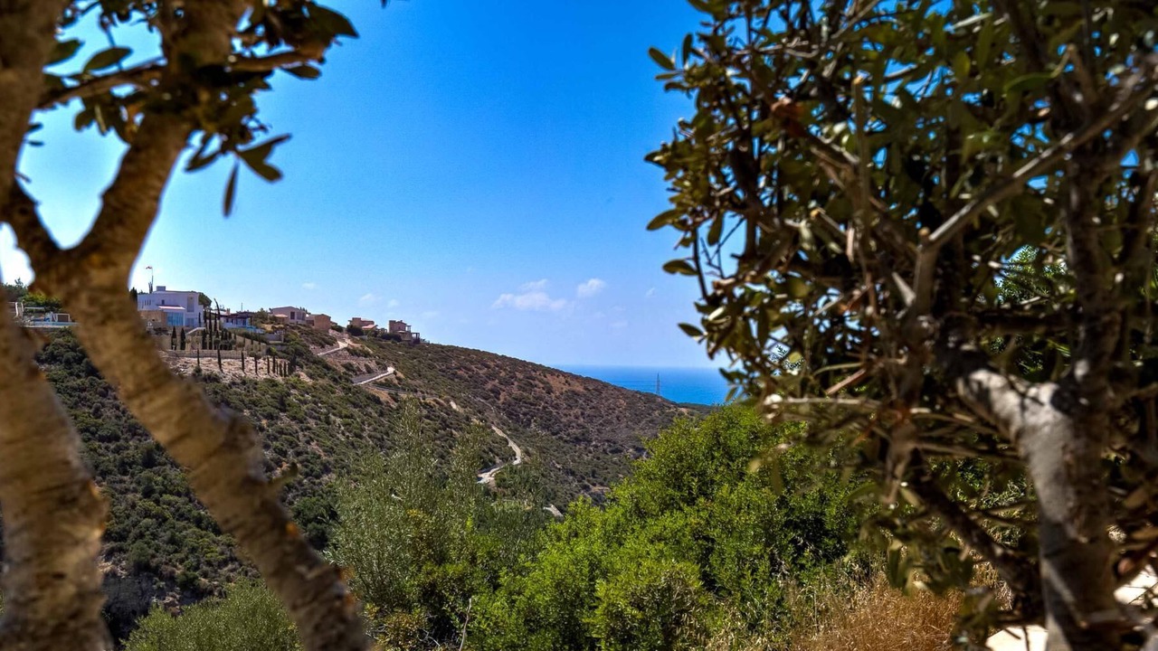 Photo of Outdoor in Aphrodite Hills